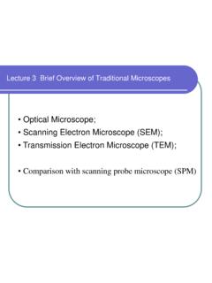 Optical Microscope; • Scanning Electron Microscope (SEM ...