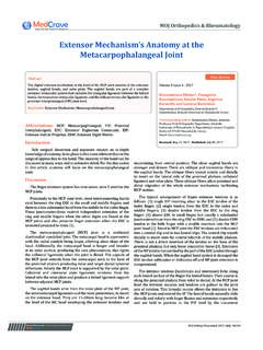 Extensor Mechanism’s Anatomy at the Metacarpophalangeal …