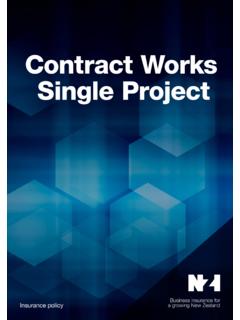 Contract Works Single Project - NZI
