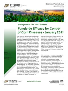 Management of Corn Diseases Fungicide Efficacy for Control ...