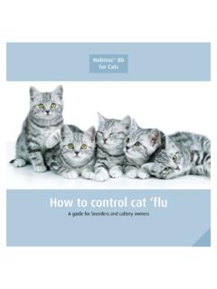 Nobivac Bb for Cats - Future of Vaccination - …