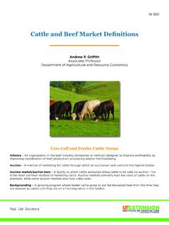 Cattle and Beef Market Definitions - UT Extension