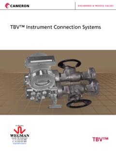 TBV™ Instrument Connection Systems - WEGMAN