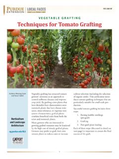 Techniques for Tomato Grafting - Purdue Extension