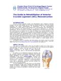The Guide to Rehabilitation of Anterior Cruciate Ligament ...