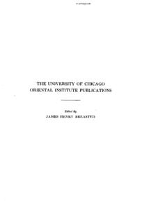 THE UNIVERSITY OF CHICAGO ORIENTAL INSTITUTE …