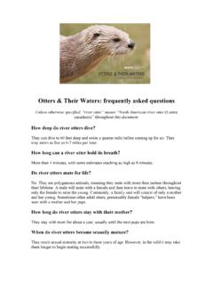 Otters &amp; Their Waters: frequently asked questions