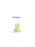 Urinalysis Hematuria Proteinuria - Division of Nephrology