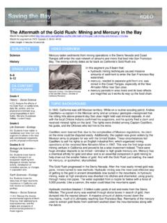 The Aftermath of the Gold Rush: Mining and Mercury in the …