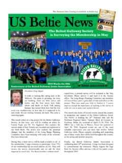 US Beltie New - Belted Galloway