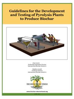 Guidelines for the Development and Testing of Pyrolysis ...