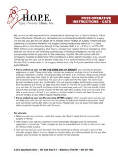 POST-OPERATIVE INSTRUCTIONS - CATS