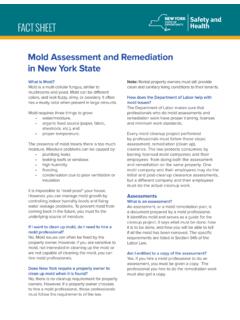 Mold Assessment and Remediation in New York State