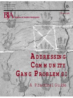 ADDRESSING COMMUNITY GANG PROBLEMS