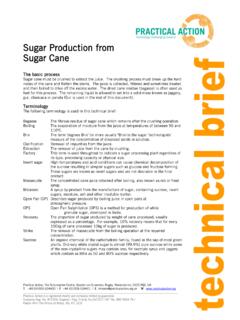 Sugar production from cane sugar - CTCN