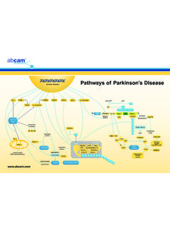 Pathways of Parkinson’s Disease - Abcam