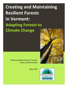 Creating and Maintaining Resilient Forests in Vermont