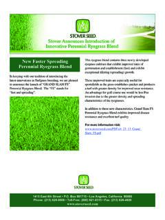 New Faster Spreading Perennial Ryegrass Blend - Stover Seed