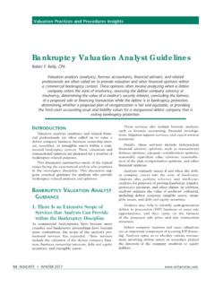 Bankruptcy Valuation Analyst Guidelines