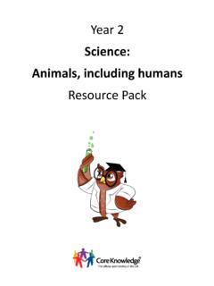 Year 2 Science: Animals, including humans Resource Pack