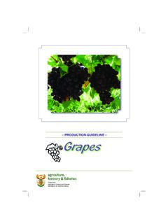 grapes prod guideline - Minister of Agriculture, …
