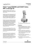 Fisher Large ED/EWD and ET/EWT Valves NPS 12 through 30