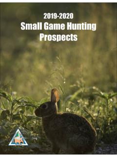2018-19 Small Game Hunting Prospects
