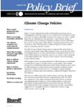 200Policy Brief - OECD