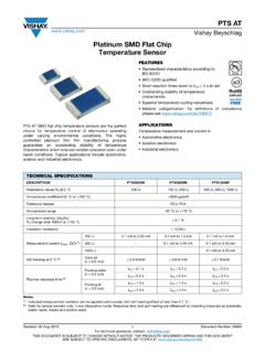 Platinum SMD Flat Chip Temperature Sensor