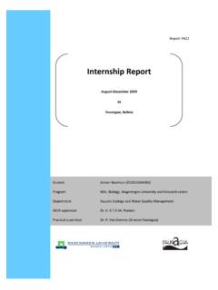 Internship Report Amber Beerman - WUR