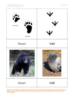 bear bird - Montessori for Everyone