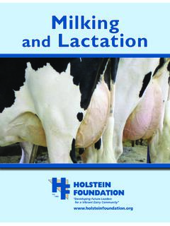 Milking and Lactation - Holstein Foundation