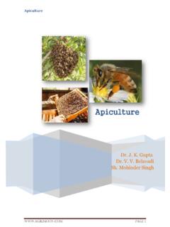 Apiculture - AgriMoon