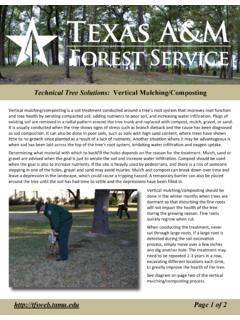 Technical Tree Solutions: Vertical …