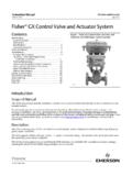 Fisher GX Control Valve and Actuator System - …