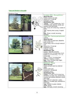 Trees and Shrubs in this guide - Home | NRCS