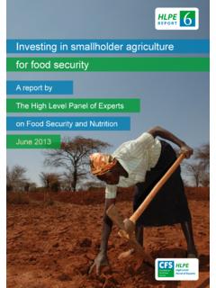 Investing in smallholder agriculture for food security ...