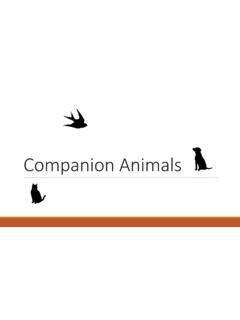 Companion Animals - USDA Rural Development