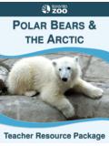 POLAR BEARS THE ARCTIC - Toronto Zoo