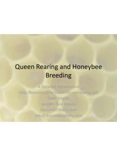 Queen Rearing and Honeybee Breeding - Golden Rule Honey
