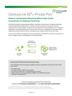 CenturyLink IQ + Private Port