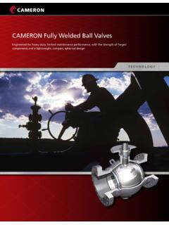 CAMERON Fully Welded Ball Valves - TEXPETROL