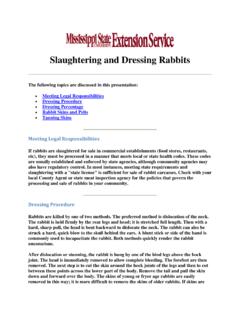 Slaughtering and Dressing Rabbits - Poultry Science