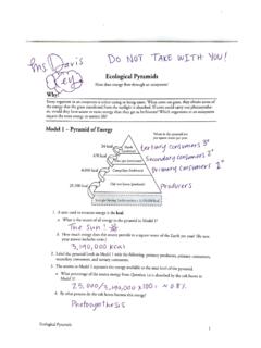 Ecological Pyramids - Ms. Tara Davis