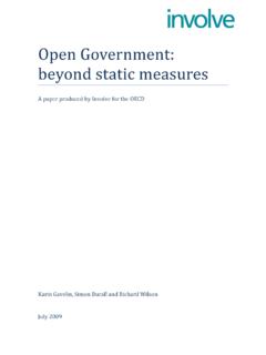 Open Government: beyond static measures - …