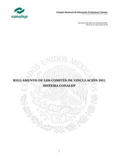 REGLAMENTO DE LOS COMIT&#201;S DE VINCULACI&#211;N …