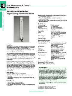 Flow Measurement &amp; Control Rotameters 356 Model FM …