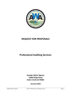 REQUEST FOR PROPOSALS Professional Auditing …