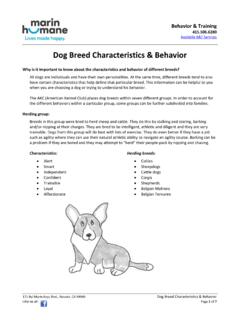 Dog Breed Characteristics &amp; Behavior - Marin Humane