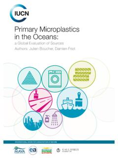 Primary Microplastics in the Oceans